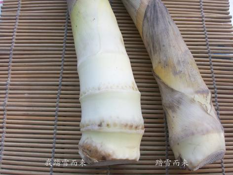 傣味泡椒春笋的做法(挑选春笋窍门)